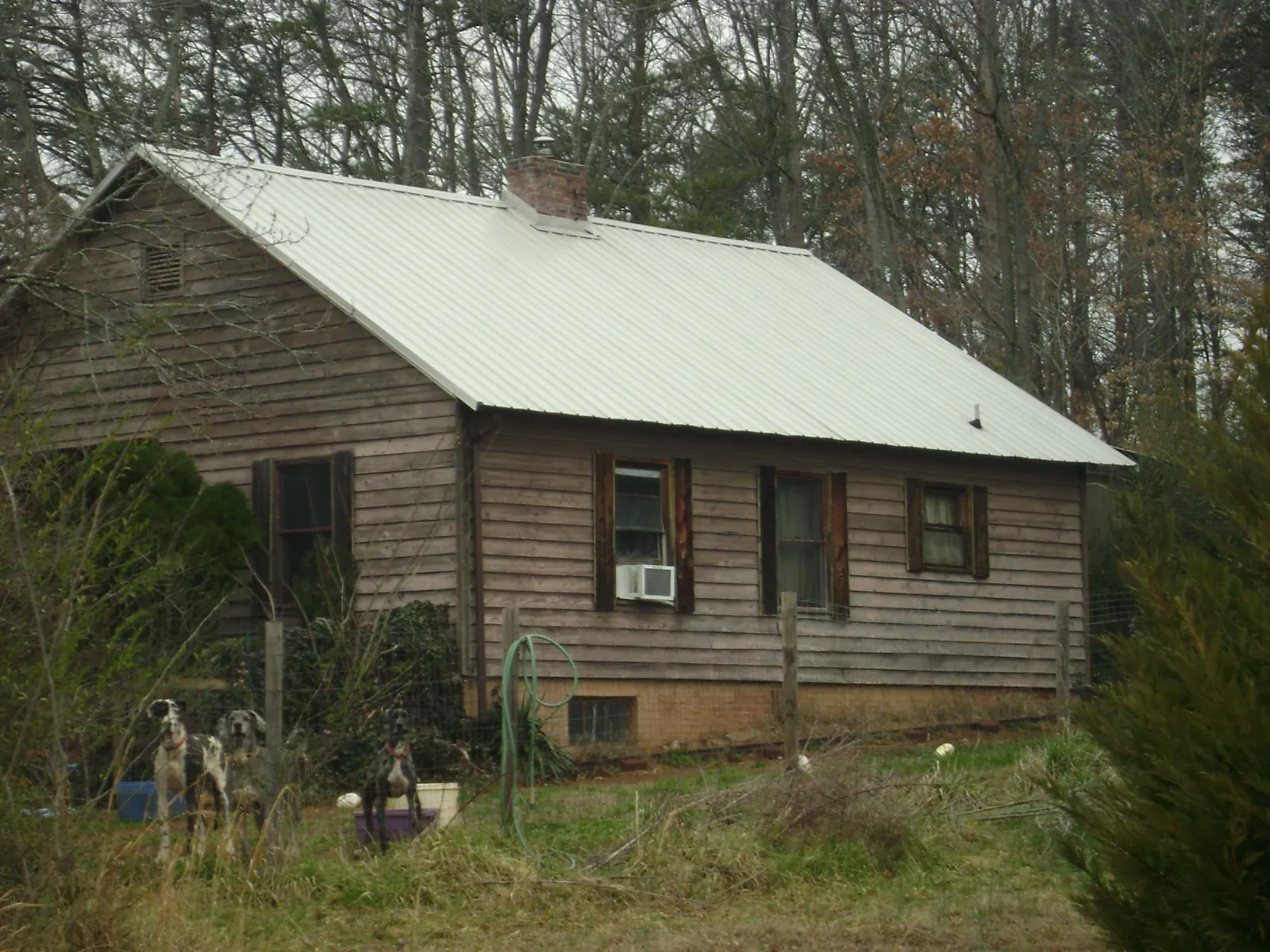White metal roof on an old wood sided farmhouse, from a Asphalt Shingle Roof Repair job in Lakewood